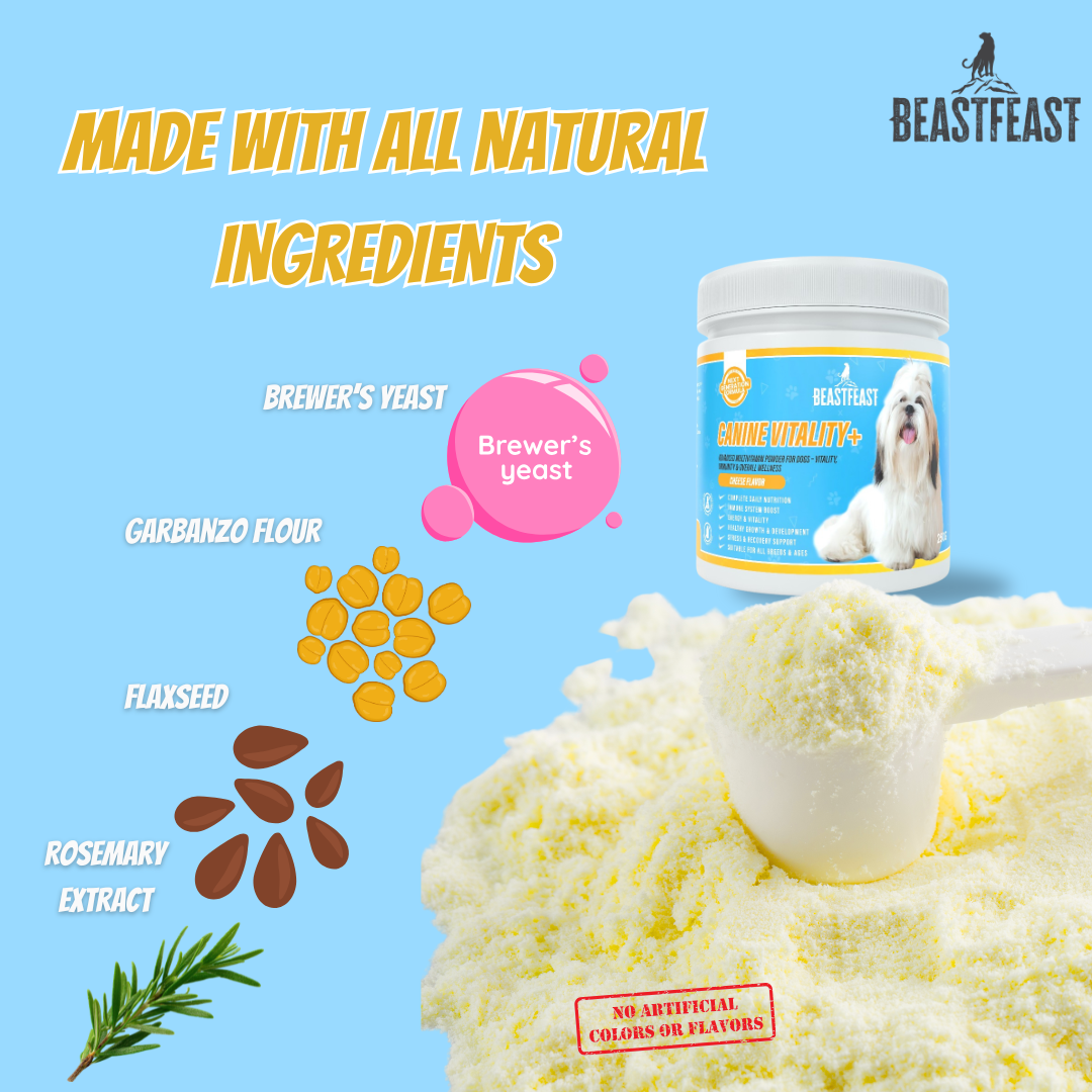 Beast Feast Canine Vitality+ Dog Multivitamins for Vitality, Immunity & Overall Wellness Support