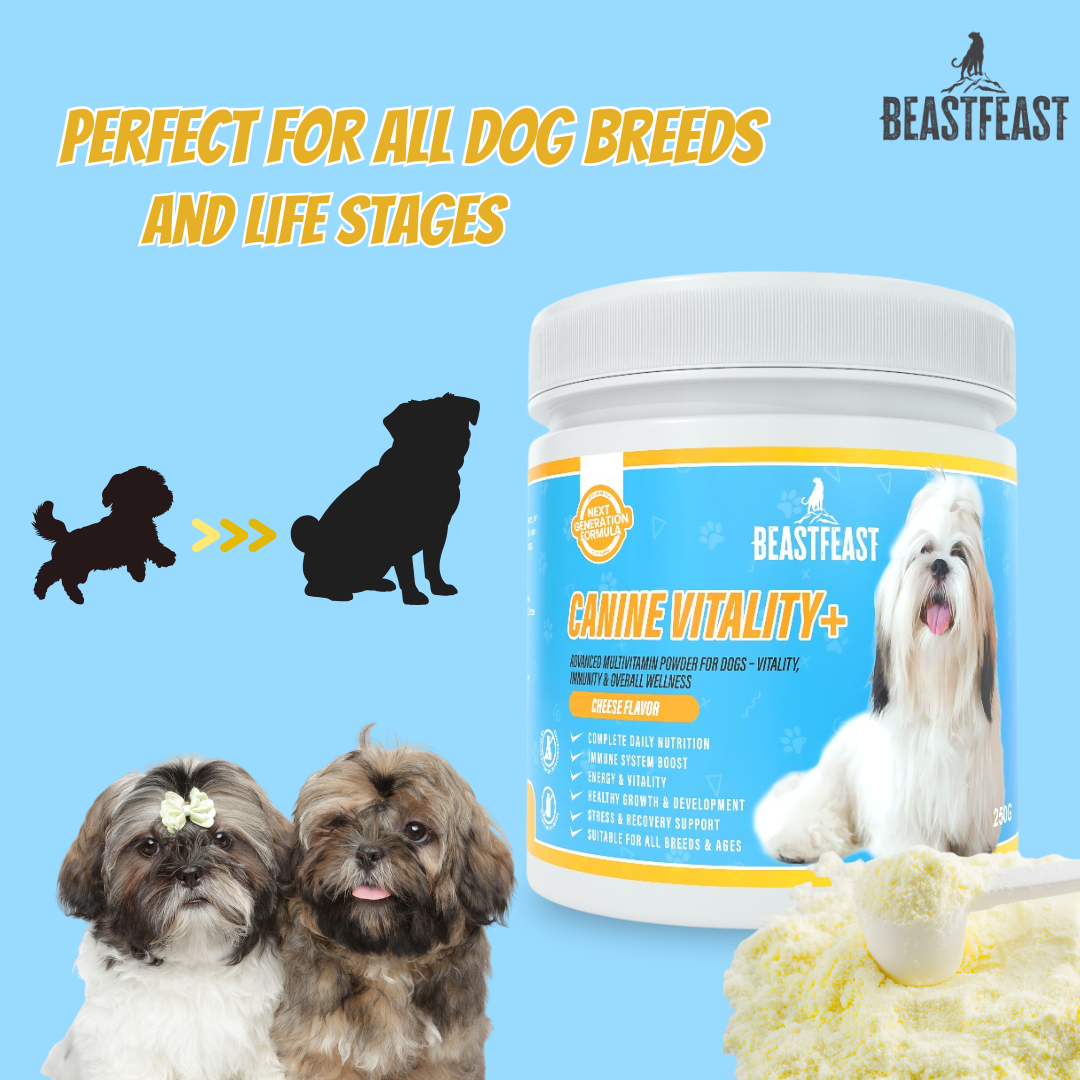 Beast Feast Canine Vitality+ Dog Multivitamins for Vitality, Immunity & Overall Wellness Support