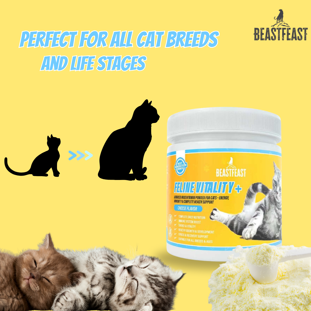Beast Feast Feline Vitality+ Cat Multivitamins for Energy, Immunity & Complete Health Support