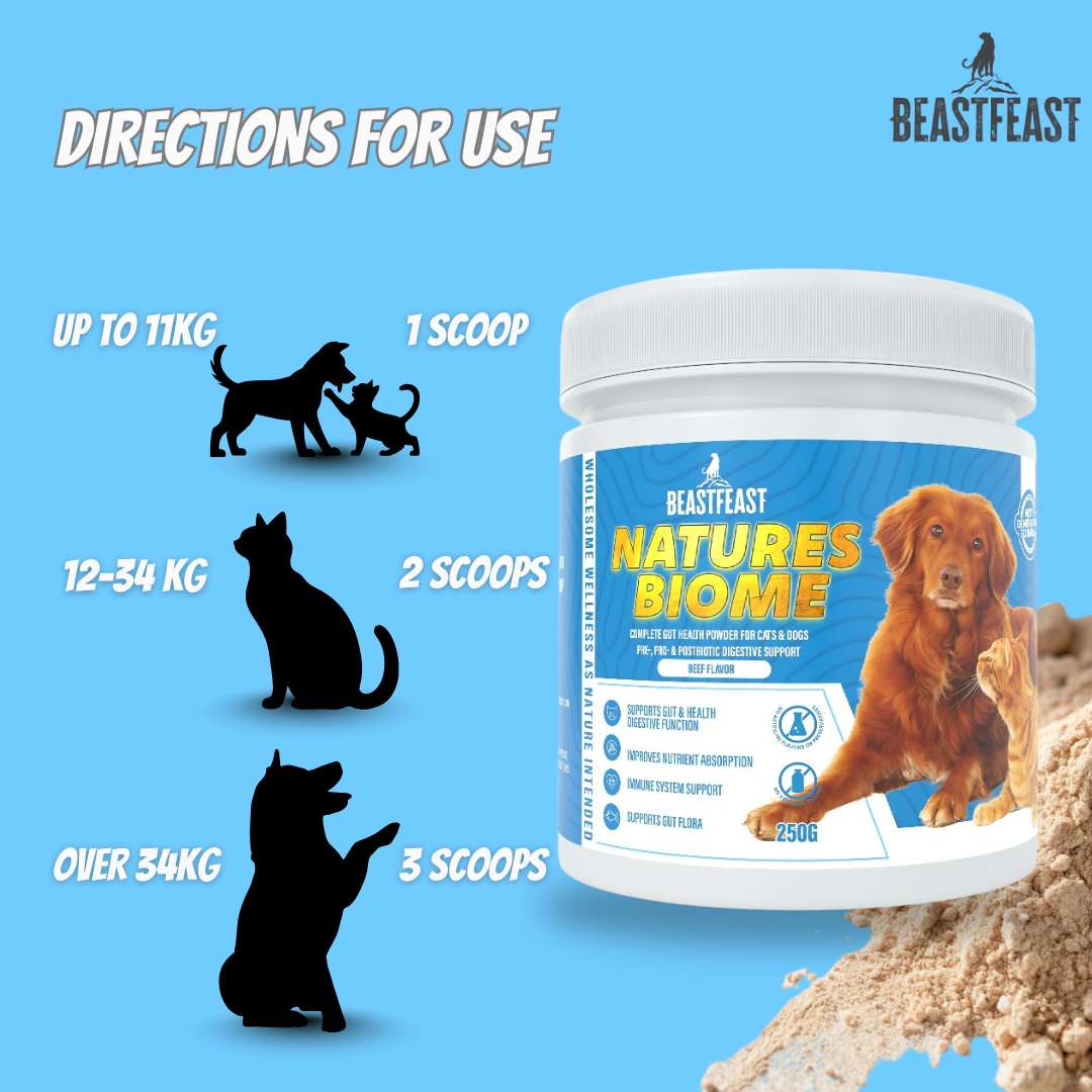 Beast Feast Nature's Biome Probiotic Powder for Cats & Dogs – Gut Health & Digestion Support