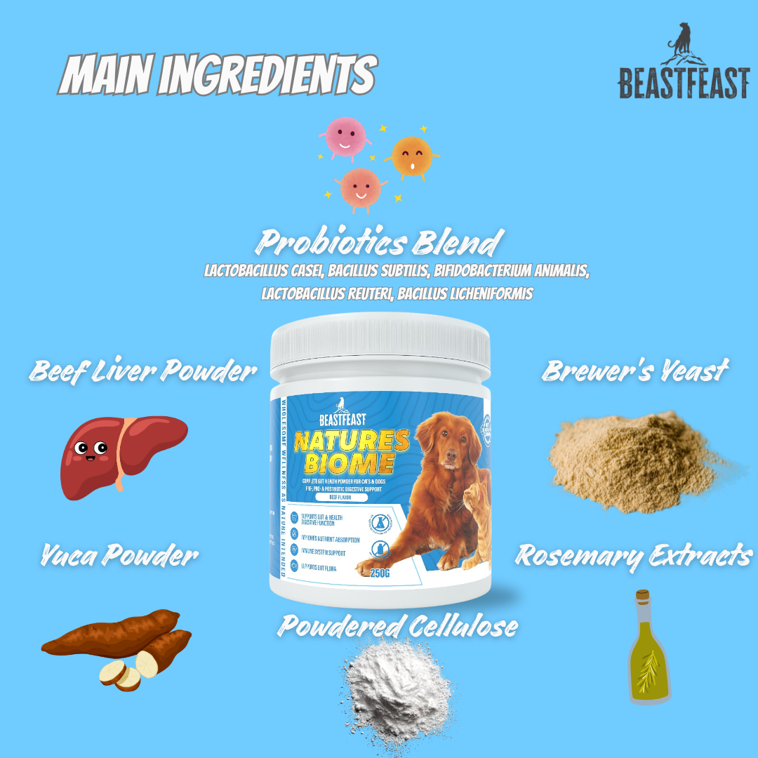 Beast Feast Nature's Biome Probiotic Powder for Cats & Dogs – Gut Health & Digestion Support