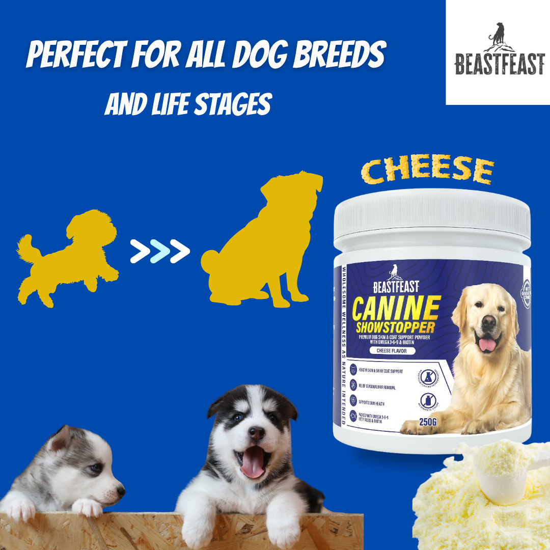 Beast Feast Canine Showstopper - Dog Skin & Coat Booster Powder with Omegas & Biotin
