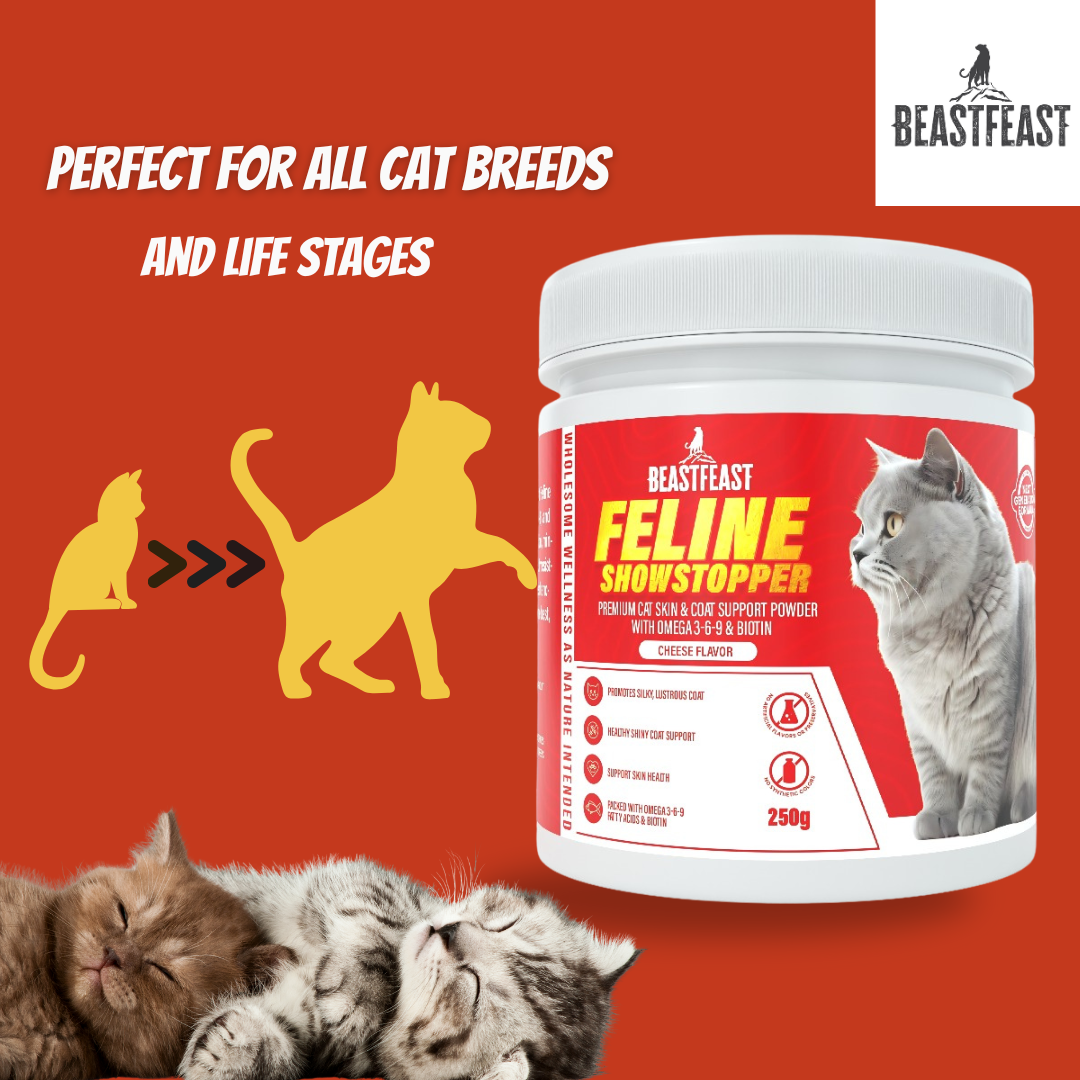 Beast Feast Feline Showstopper - Premium Cat Skin & Coat Support Powder with Omega 3-6-9 & Biotin