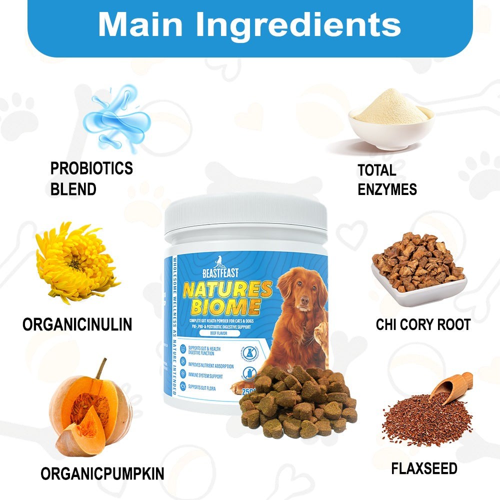 Beast Feast Nature's Biome Probiotic Powder for Cats & Dogs – Gut Health & Digestion Support